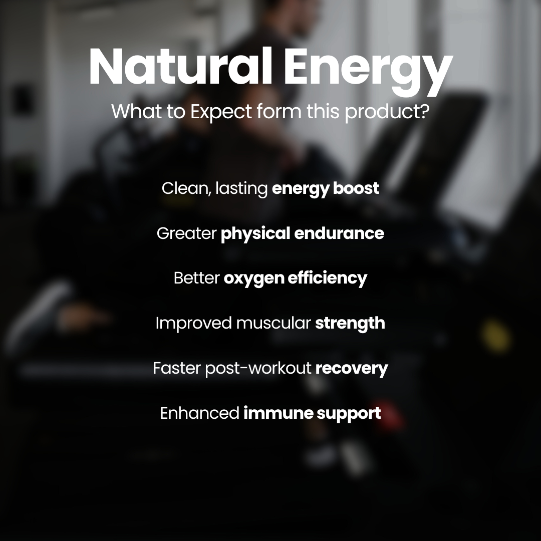 Cordyceps & Ginseng for Energy