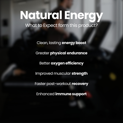 Cordyceps & Ginseng for Energy